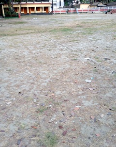 image-here