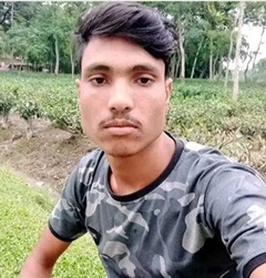 image-here