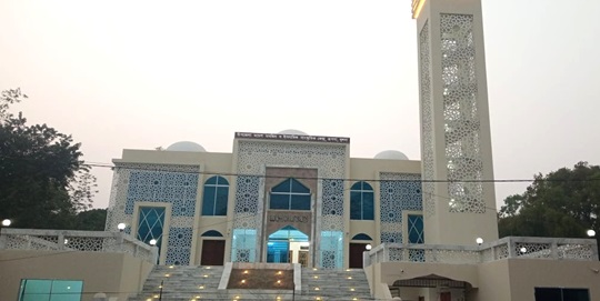 image-here
