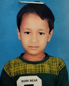 image-here