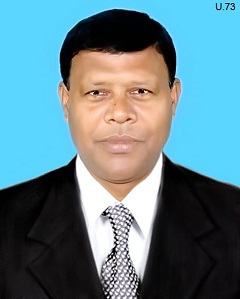 image-here