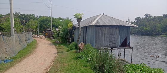image-here