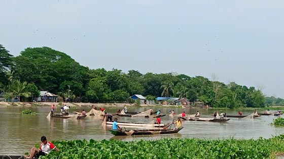 image-here