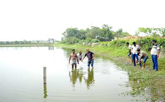 image-here