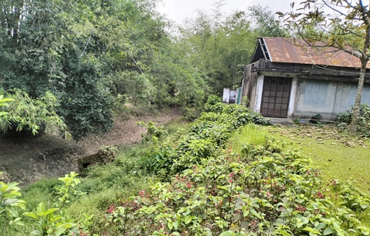 image-here