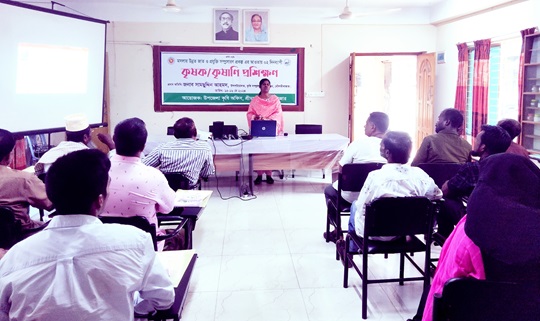 image-here