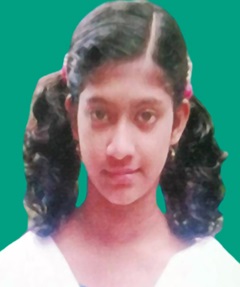 image-here
