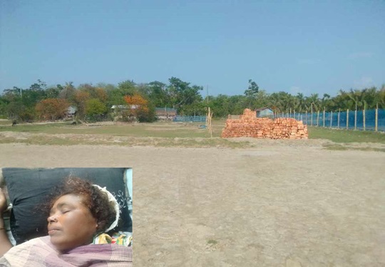 image-here