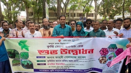 image-here