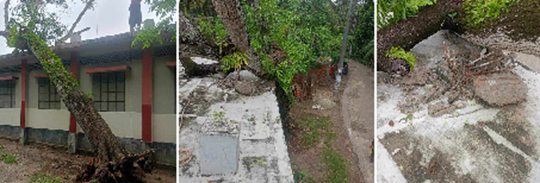 image-here