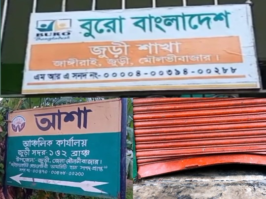 image-here