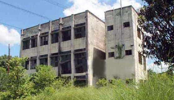 image-here