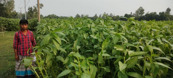 image-here