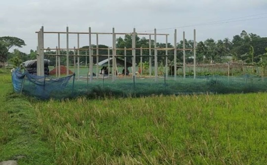 image-here