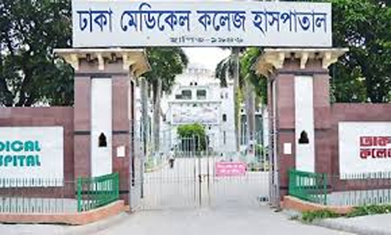 image-here