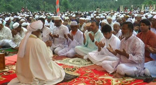 image-here