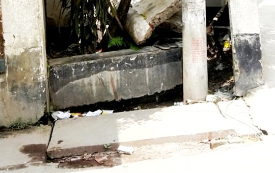 image-here