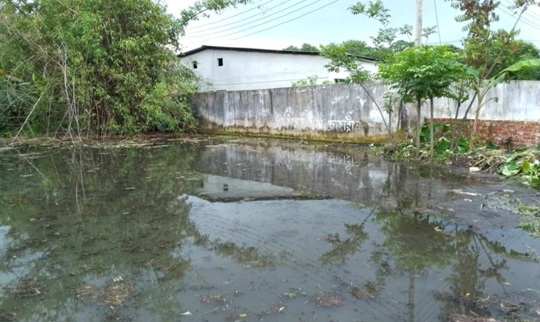 image-here
