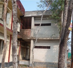 image-here