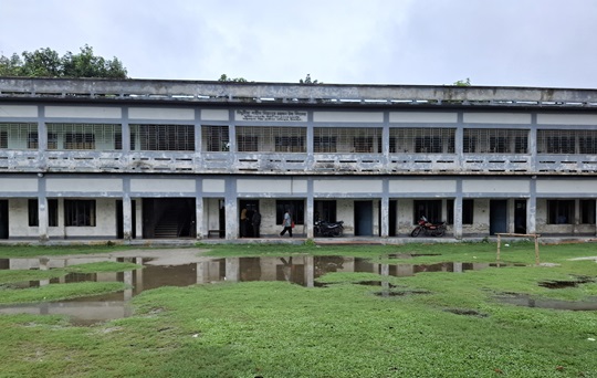 image-here