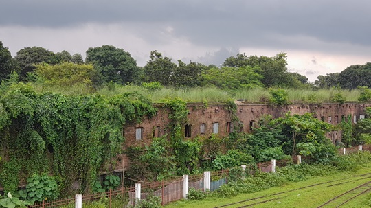 image-here