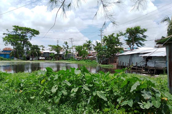 image-here