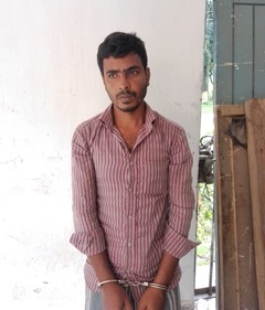 image-here