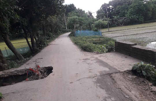 image-here