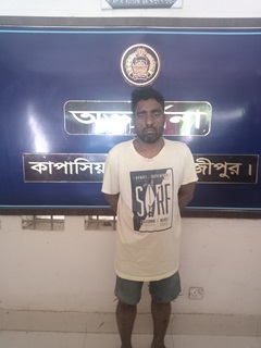 image-here
