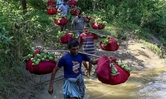 image-here