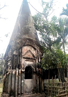 image-here