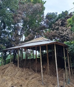 image-here