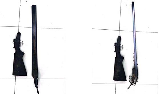 image-here