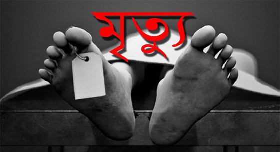 image-here