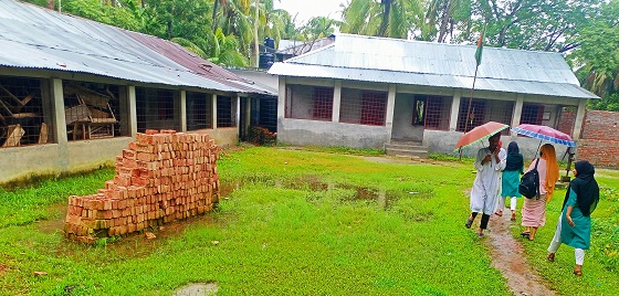 image-here