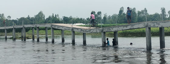 image-here
