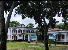 image-here