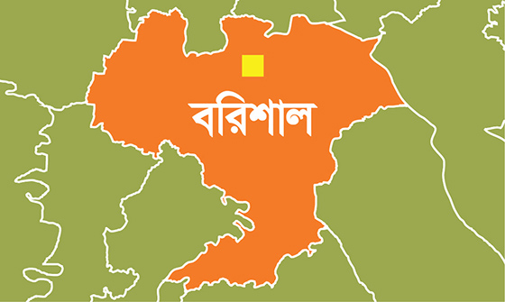 image-here