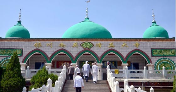 image-here