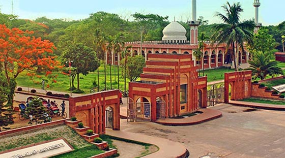 image-here