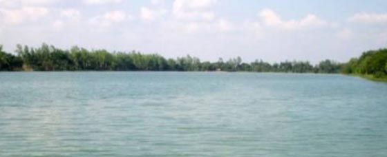 image-here