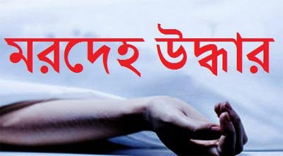 image-here