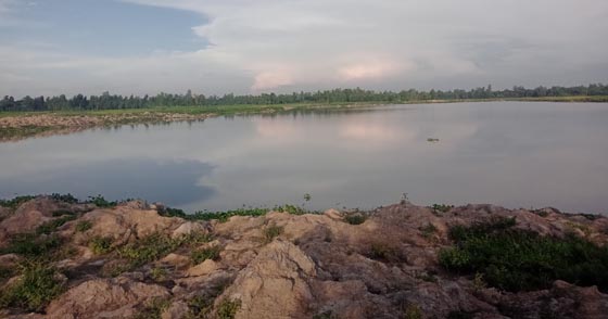 image-here