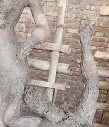 image-here