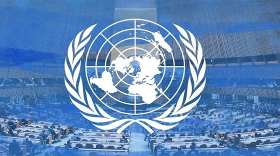 image-here