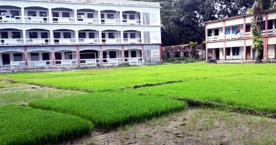 image-here