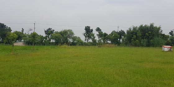 image-here