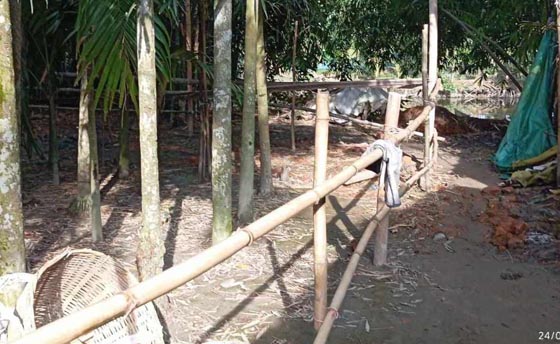 image-here