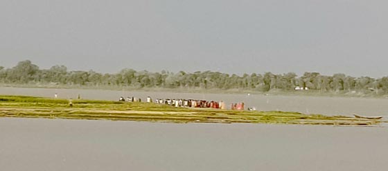image-here