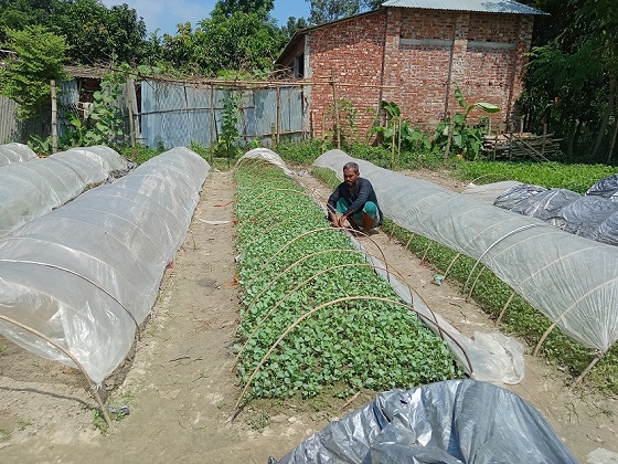 image-here